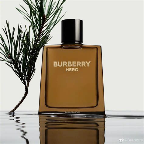 burberry for men brown|burberry perfume original for men.